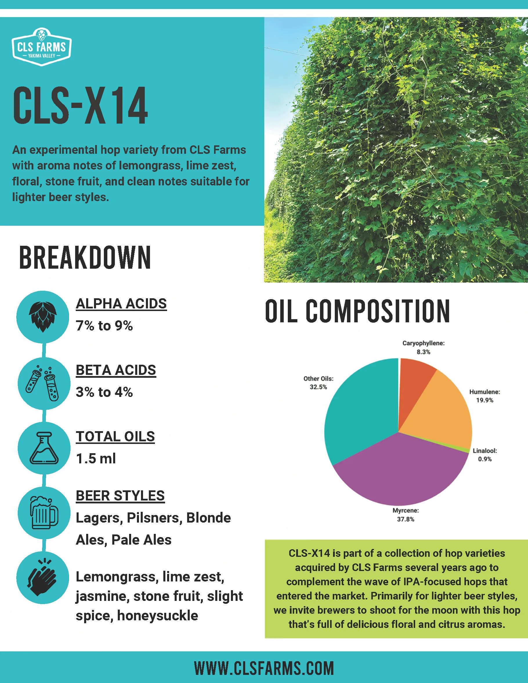 Experimental CLS-X14 Hops