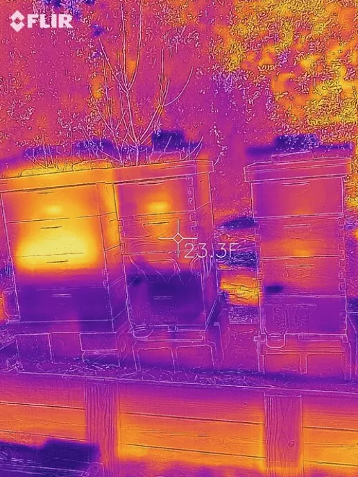 Rental - FLIR Handheld Thermal Camera Rental